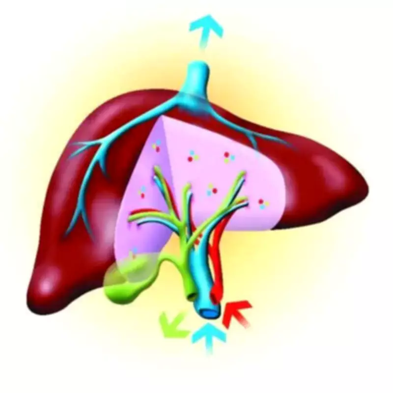 Mumbai Hospital Performs Rare Liver Swap Transplant Between Incompatible Blood Groups