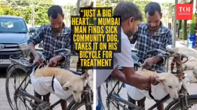 Mumbai Man Uses Bicycle to Rescue Sick Community Dog, Wins Hearts Online