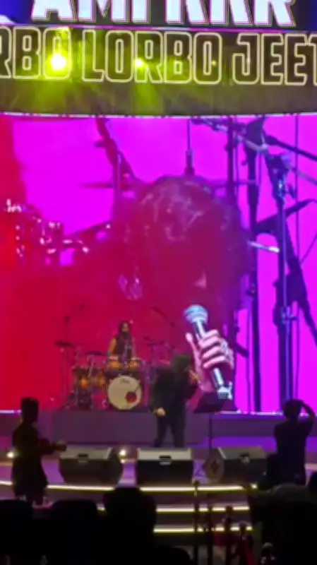 Musical Evening in the City Captivates Audience with Enchanting Performances