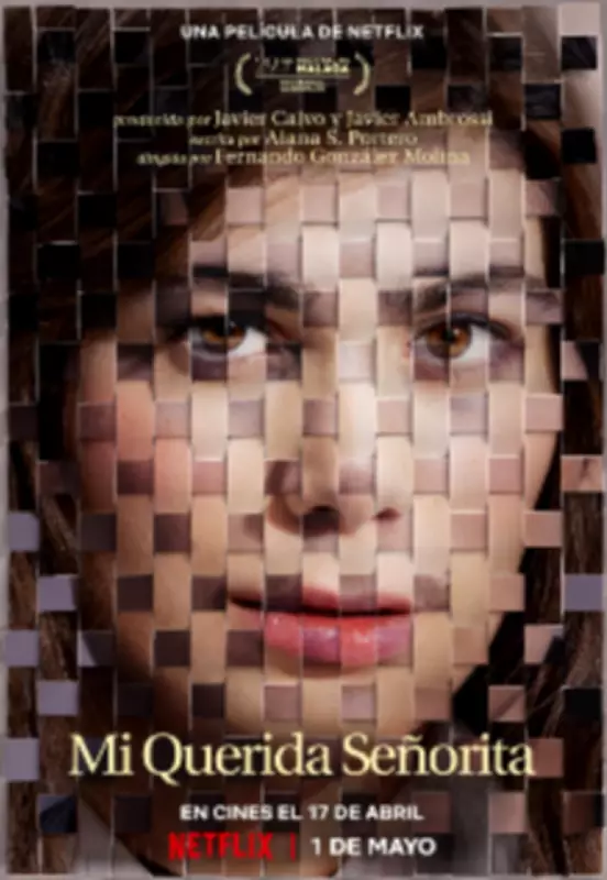 My Dearest Señorita: Spanish Drama Romance Streaming on Netflix in 2026