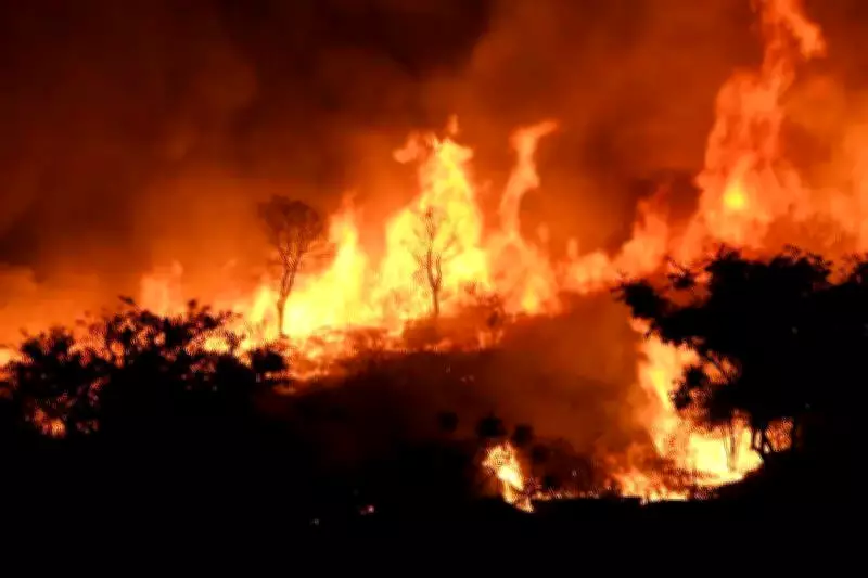 Mysuru Forest Department Intensifies Wildfire Prevention Amid Rising Summer Temperatures