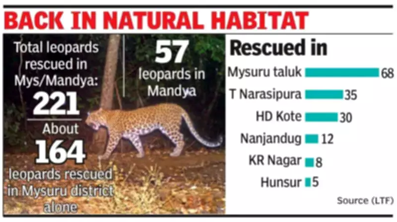 Mysuru Leopard Task Force Rescues 221 Leopards, Rehabilitates Over 90%
