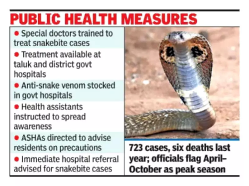 Mysuru Records 723 Snake Bites, 6 Deaths in 2024; Summer High-Risk Period