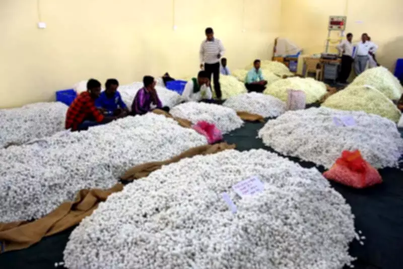 Mysuru's New High-Tech Cocoon Market Construction to Begin in June