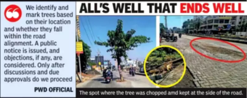 Nagpur Authorities Remove Hazardous Gulmohar Trees from Besa-Pipla Road After Accidents