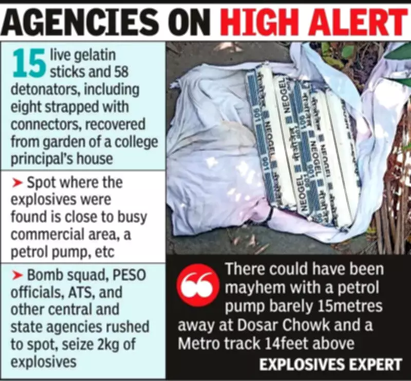 Nagpur College Principal's Garden Yields Live Gelatin Sticks, Detonators