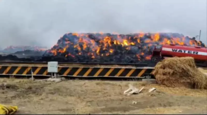 Nagpur Fire Incidents: Blazes Across City as Temperatures Rise, Crores in Losses