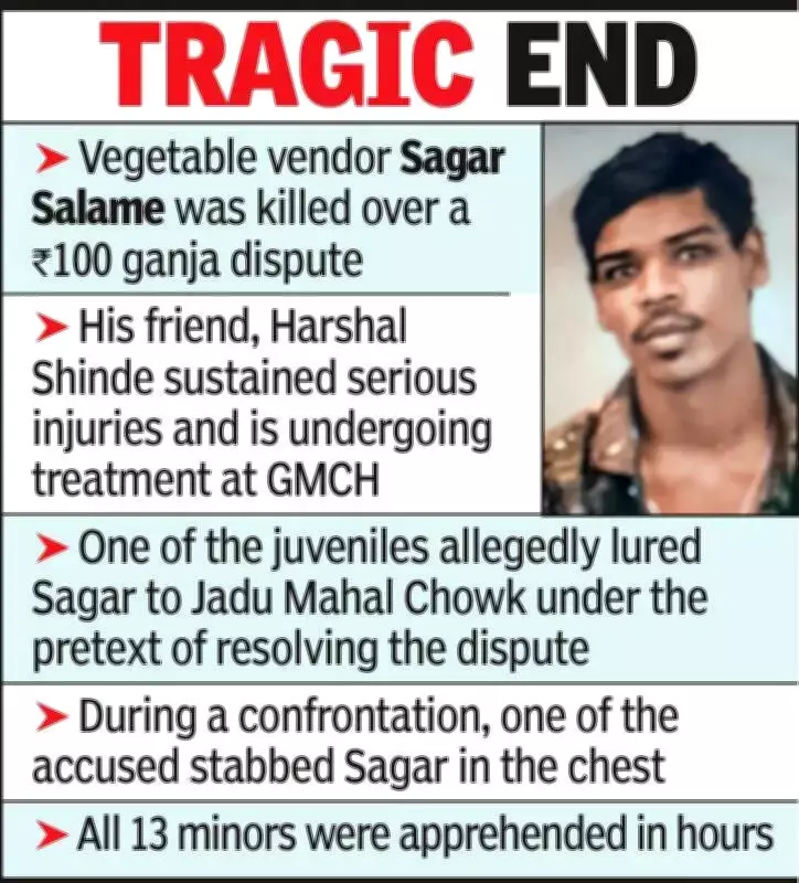 Nagpur Police Detain 13 Minors in Murder Case Over Rs100 Ganja Dispute