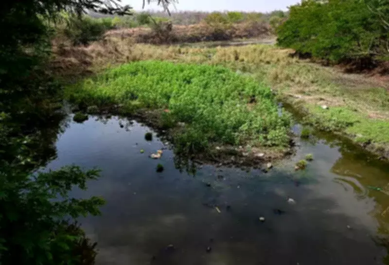 Nagpur Water Crisis: Contaminated Lake Extraction Exposes Governance Failures