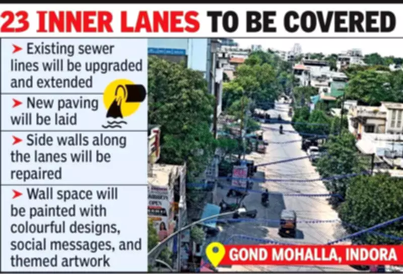 Nagpur's Indora Area Gets Rs 80 Lakh Makeover for 23 Neglected Lanes