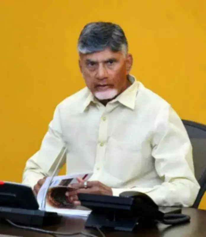 Naidu seeks central support for Andhra maize farmers amid falling prices