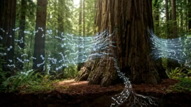 NASA Research Reveals Trees Are 'Solidified Air' Growing From Atmosphere