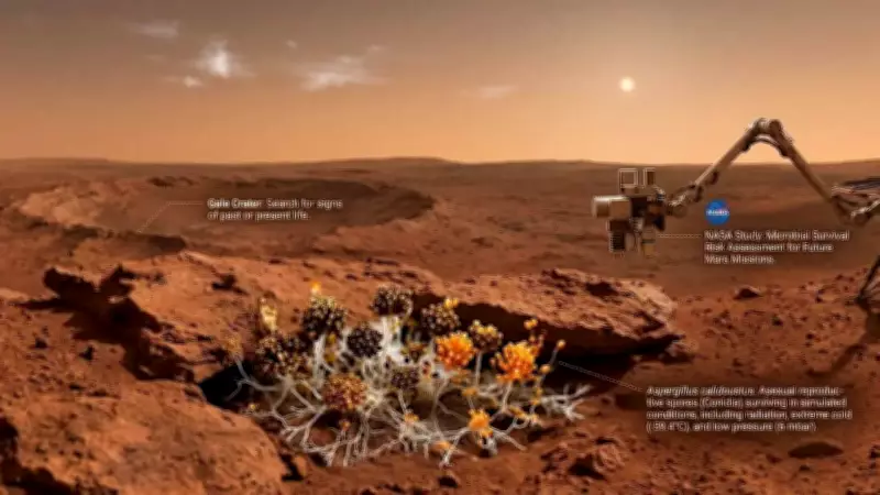 NASA Study: Fungal Spores Survive Mars-Like Conditions, Raising Planetary Protection Concerns