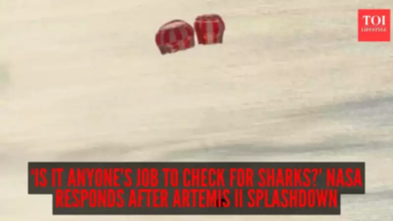 NASA's Artemis II Splashdown Sparks Viral Shark Question, Agency Responds