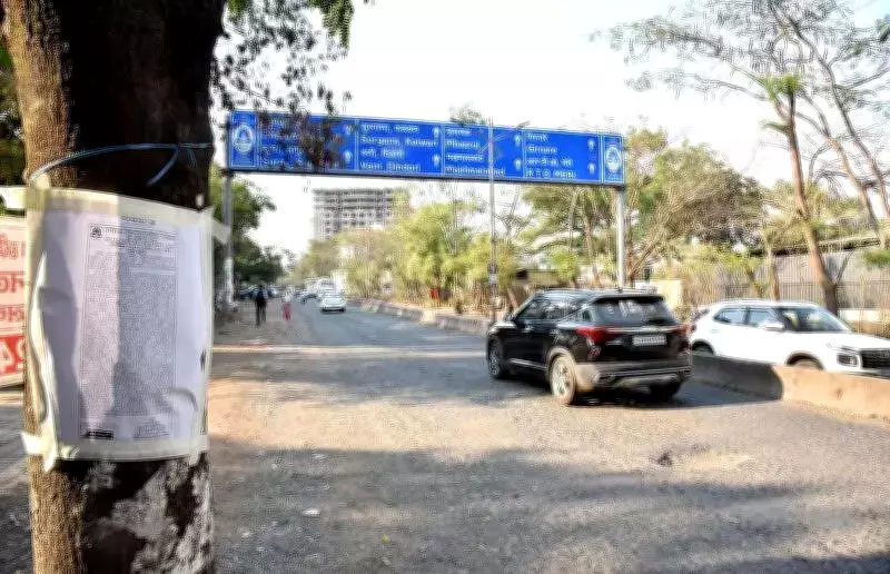 Nashik Municipal Corporation to Fell 584 Trees for Ring Road Widening Ahead of Kumbh Mela