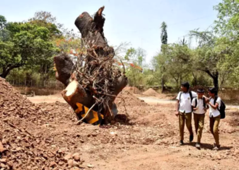 Nashik Municipal Corporation Transplants Century-Old Banyan Tree for Conservation