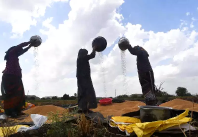 Nashik Zilla Parishad Launches Major Initiative to Empower 14,185 Rural Single Women