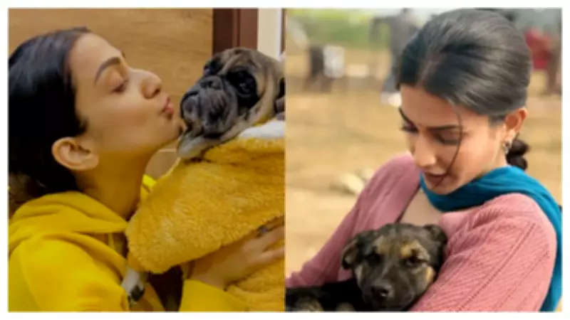 National Pet Day: Celebrating the Unconditional Love of Our Voiceless Companions