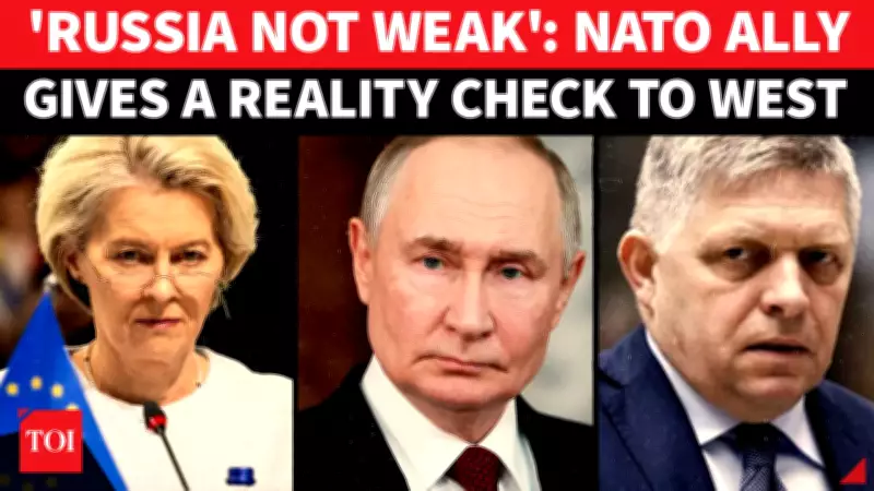 NATO Leader Humiliates Europe, Slams EU's Failed Russia Sanctions Policy