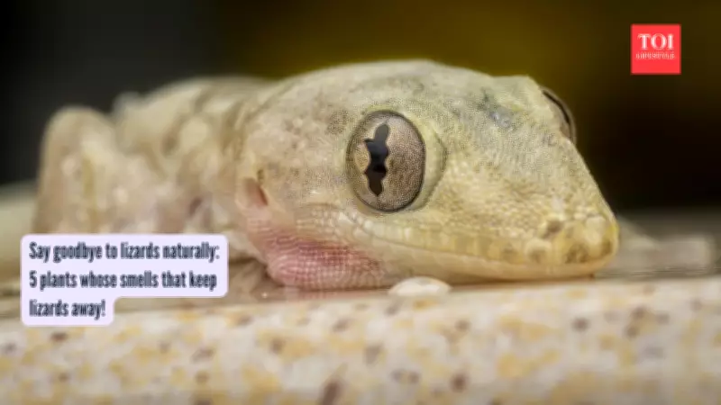 Natural Plant Solutions to Keep Lizards Away from Your Home This Summer