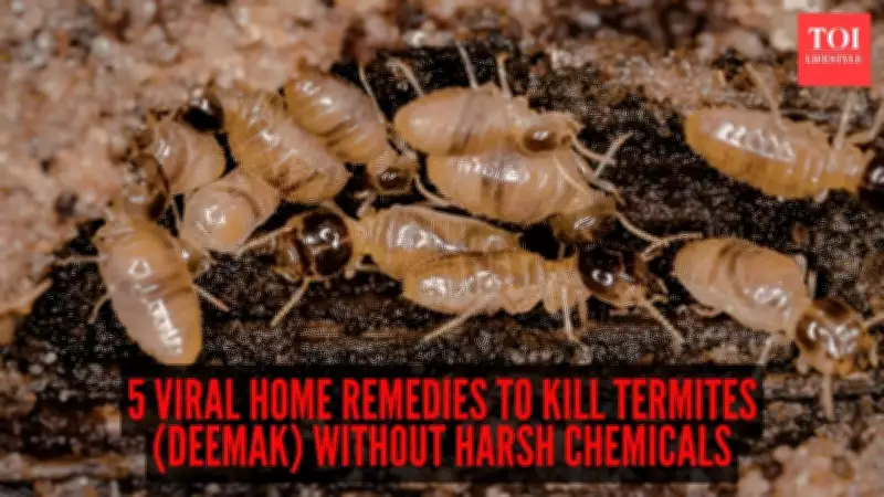 Natural Termite Control: 5 Viral Home Remedies to Protect Your Wood Without Chemicals