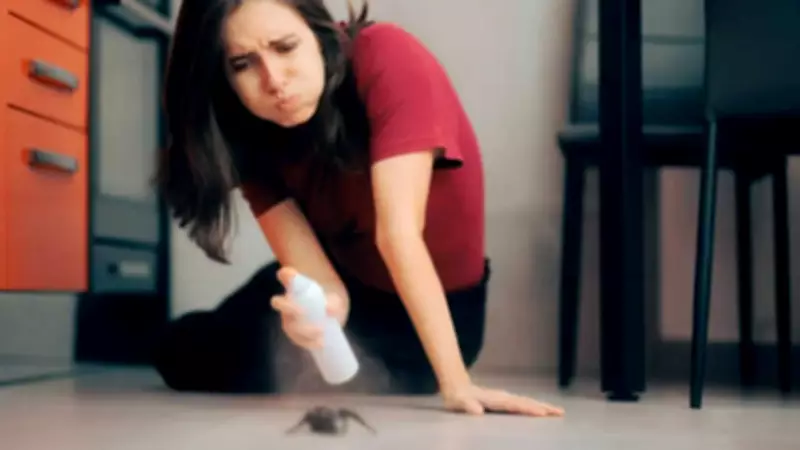 Natural Ways to Get Rid of Ants This Summer Season