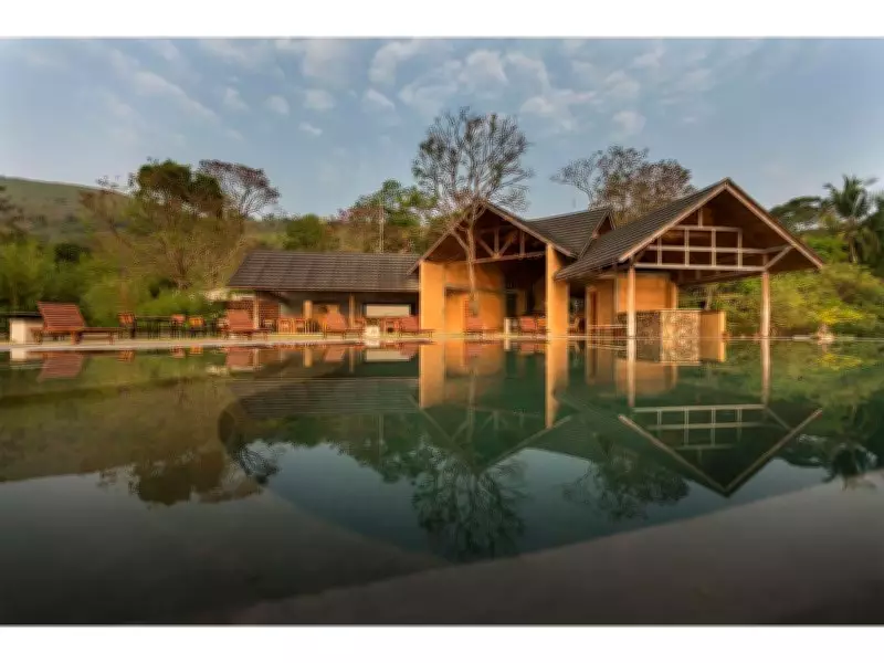 Nature's Ultimate Vitamin: Break Free from Supplement Overload with Naturopathy