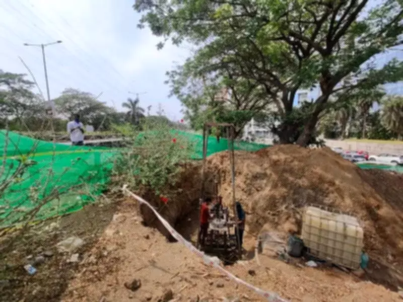 Navi Mumbai Seeks IIT-B Expertise to Save Trees in Sanpada Underpass Project