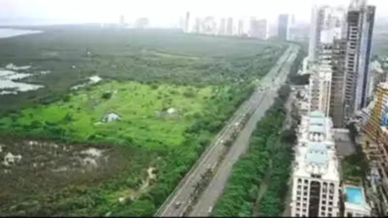 Navi Mumbai Tunnel Road Work Accelerates Amid Tree Transplantation Controversy