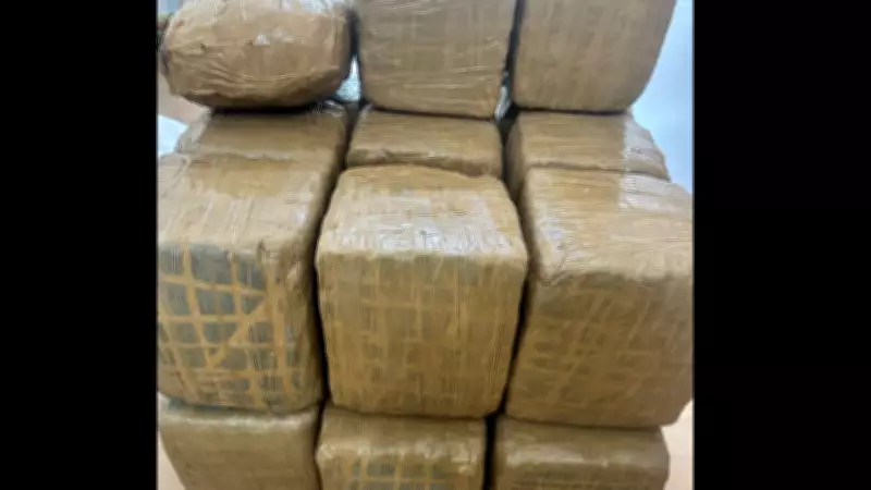 NCB Busts Ganja Smuggling Bid, Arrests Six Including Double-Murder Accused