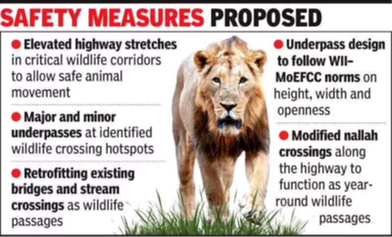 New Gujarat Highway Raises Concerns for Asiatic Lion Safety in Gir Corridor