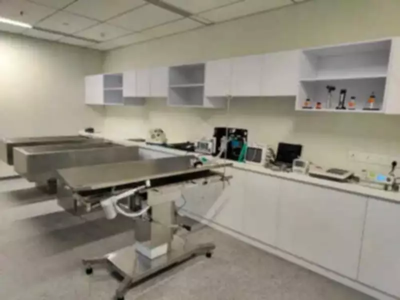 Newborn's Body Found Abandoned at Kalwa Civic Hospital in Thane