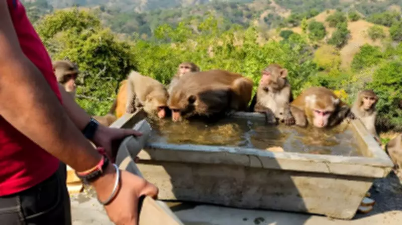 NGO Expands Jal Sewa Drive to Provide Water for Animals