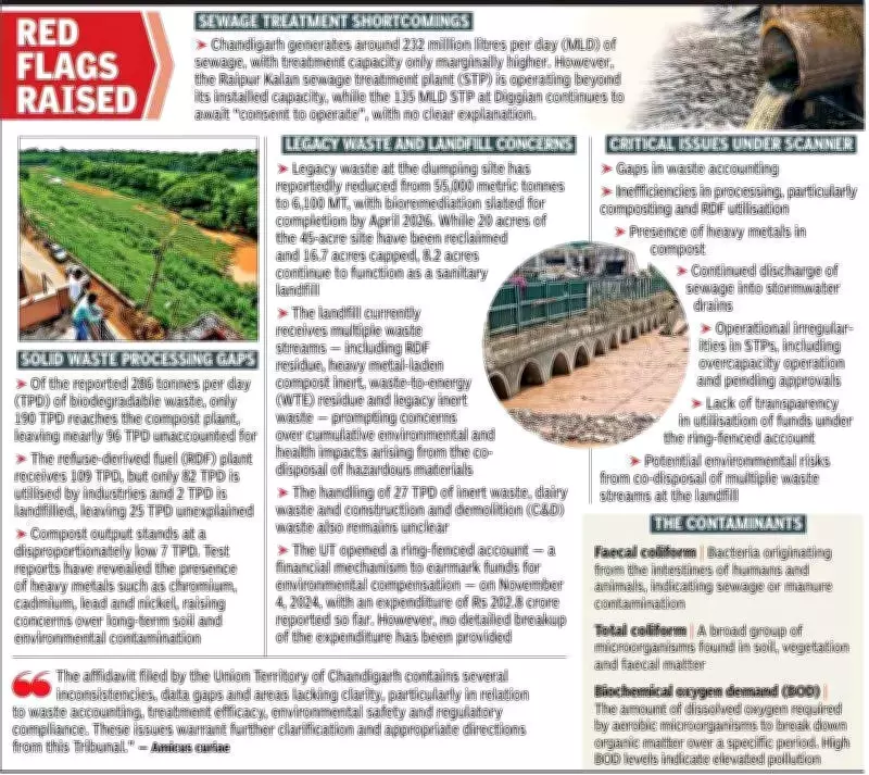 NGT Amicus Flags High Pollution in Chandigarh Drains, Questions Waste Management