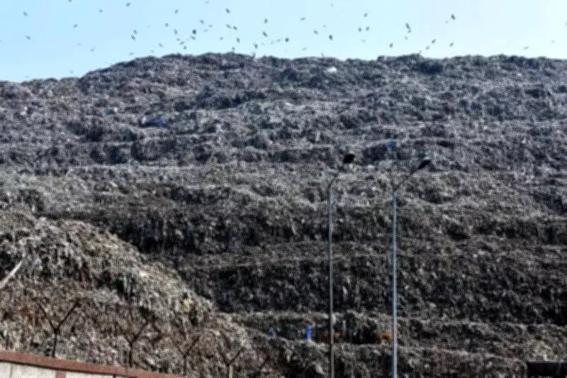 NGT Commissioner Calls for Independent Audit of Ghazipur Landfill Management