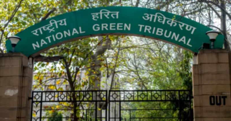 NGT Forms Panel to Check Illegal Groundwater Extraction Across States