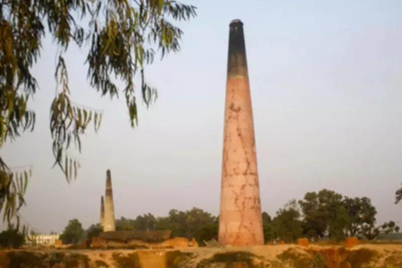 NGT Orders Haryana to Shut Illegal Brick Kiln in Rewari Within One Week