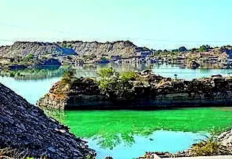 NGT Orders Rajasthan Govt to Submit Verified Plantation Data Amid Mining Allegations