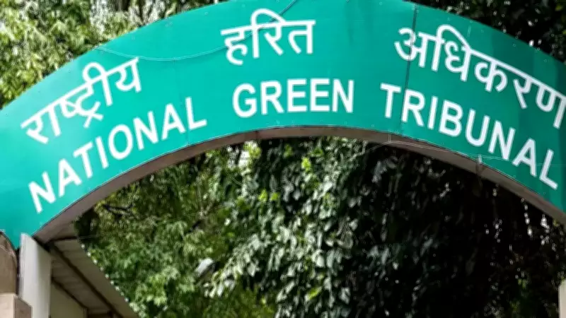 NGT Petition Challenges Tree Felling for Odisha's Rs 28-Crore Baripada Project