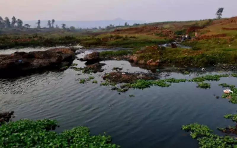 NGT Pune Slaps Rs 50.10 Lakh Fine on Sugar Factory for River Pollution