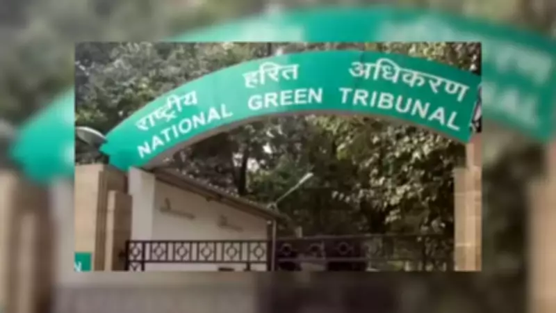 NGT slams Haryana forest department over deficient tree-felling compliance report