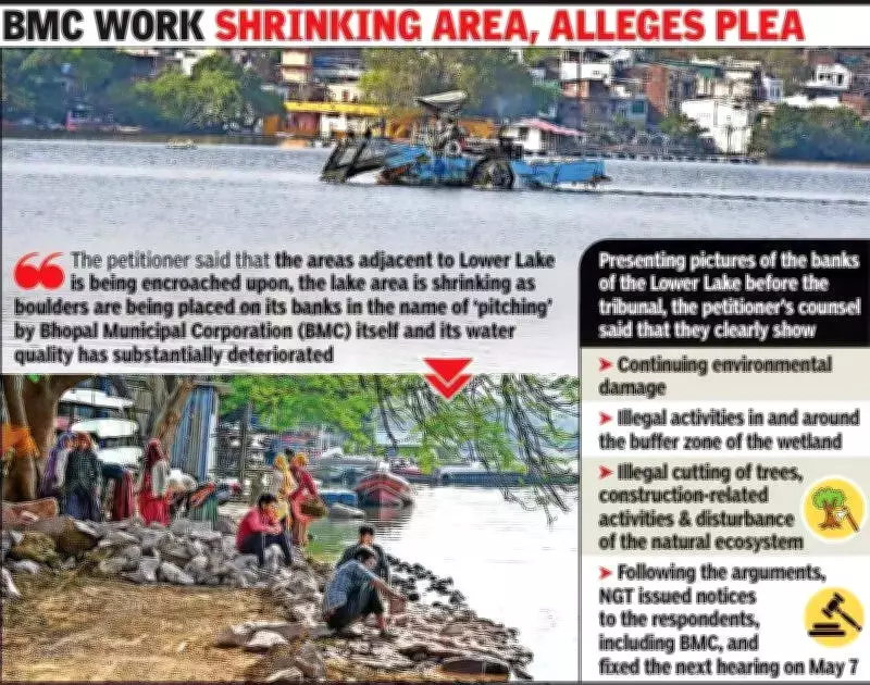 NGT Takes Action on Lower Lake Encroachments, Orders Inspection