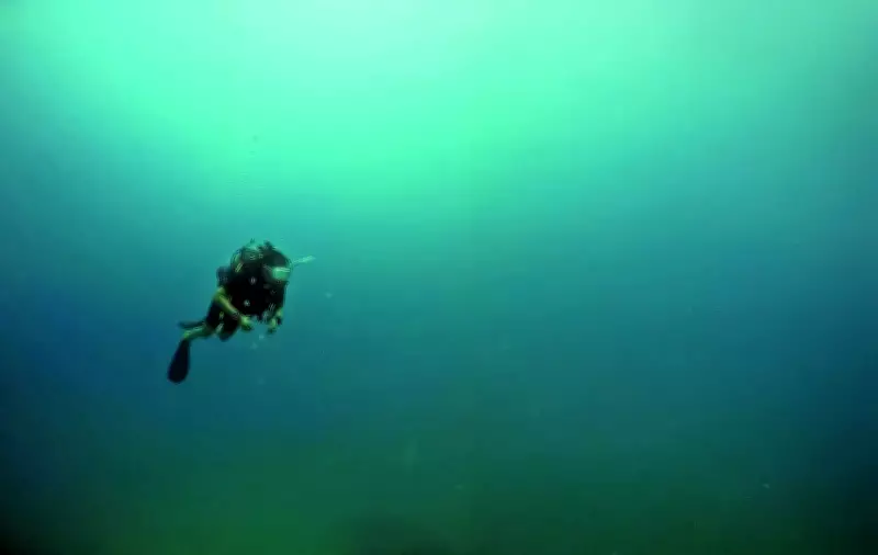 Nidhi Subbaiah's Solo Scuba Adventure: Seahorse Sighting Stuns on Havelock Island