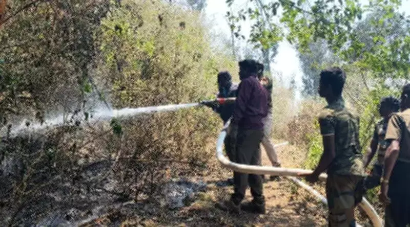 Nilgiris forest fire: Helicopter ops suspended due to strong winds