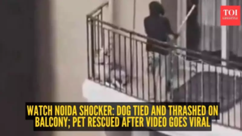 Noida Dog Abuse Case: Viral Outrage Leads to Rescue, Sparks Pet Ownership Debate