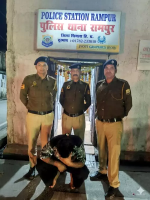 Notorious Drug Supplier Arrested in Ambala, Himachal Police Crack Down on Narcotics Network