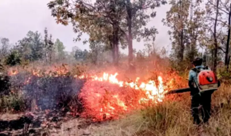 Odisha Forest Fires Cross 18,000 Mark; Tribal Livelihood Practices Fuel Blazes