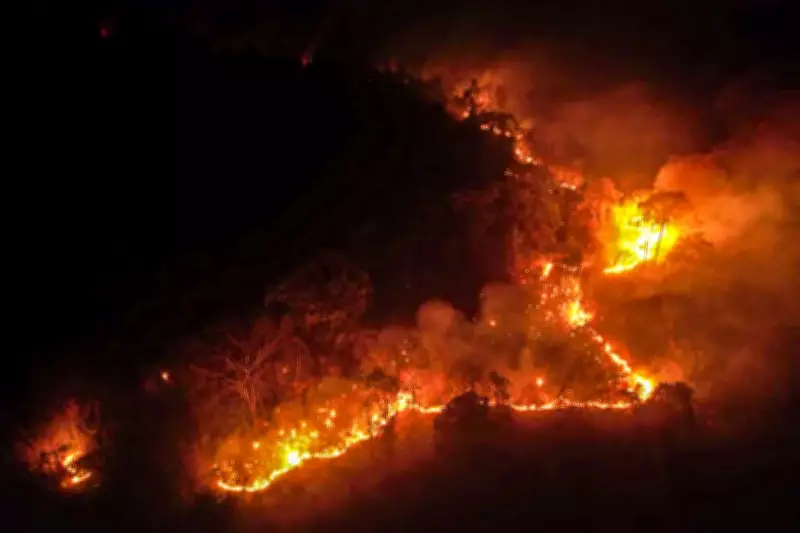 Odisha Forest Fires Drop to 14 Points, Lowest This Year Amid Weather Shift