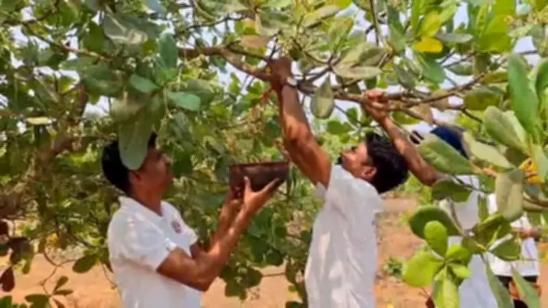 Odisha Youth Group Creates Fire Lines, Water Pots to Protect Forests and Wildlife