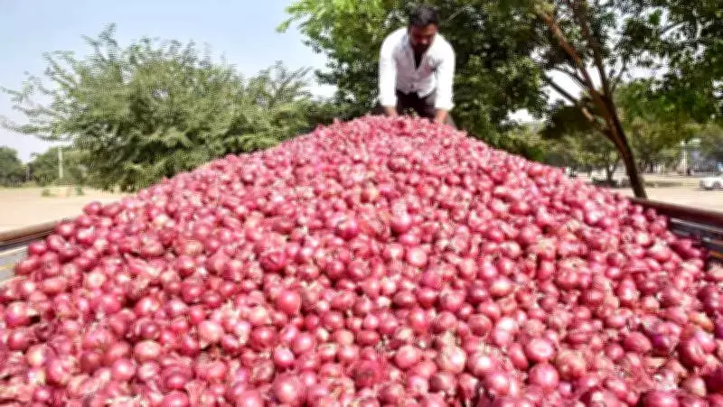 Onion Prices Plummet 30% at Lasalgaon APMC, Farmers Face Heavy Losses